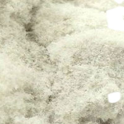 The pulp material1 (6)(001) The pulp material1 (6)(001)